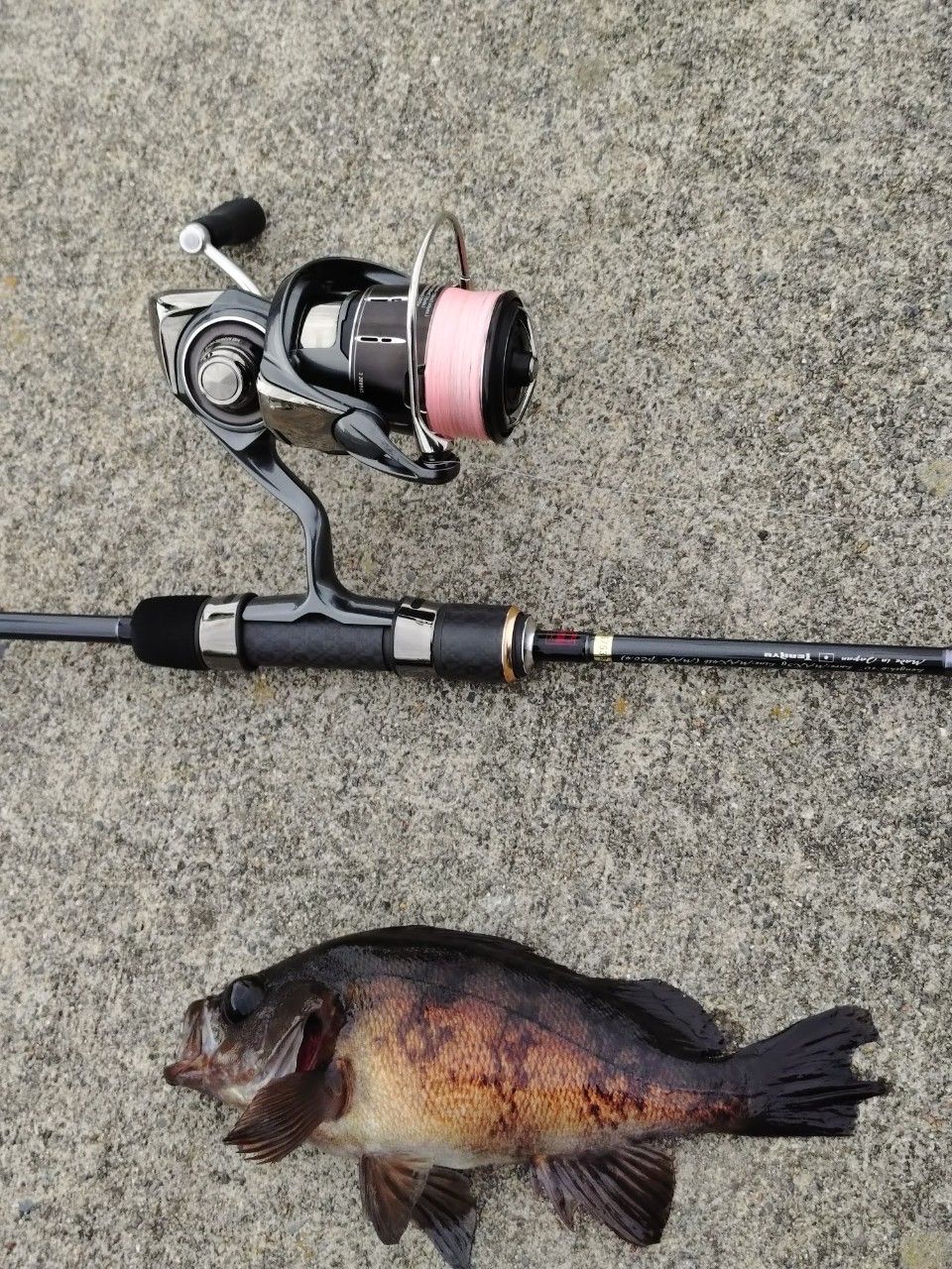 テンリュウ　tenryu ルナキア LK6102S-MLT Tenryu Lunakia LK6102S-MLT – JDM TACKLE HEAVEN
