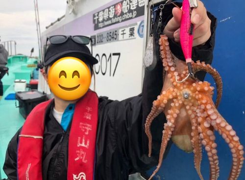 タコの釣果