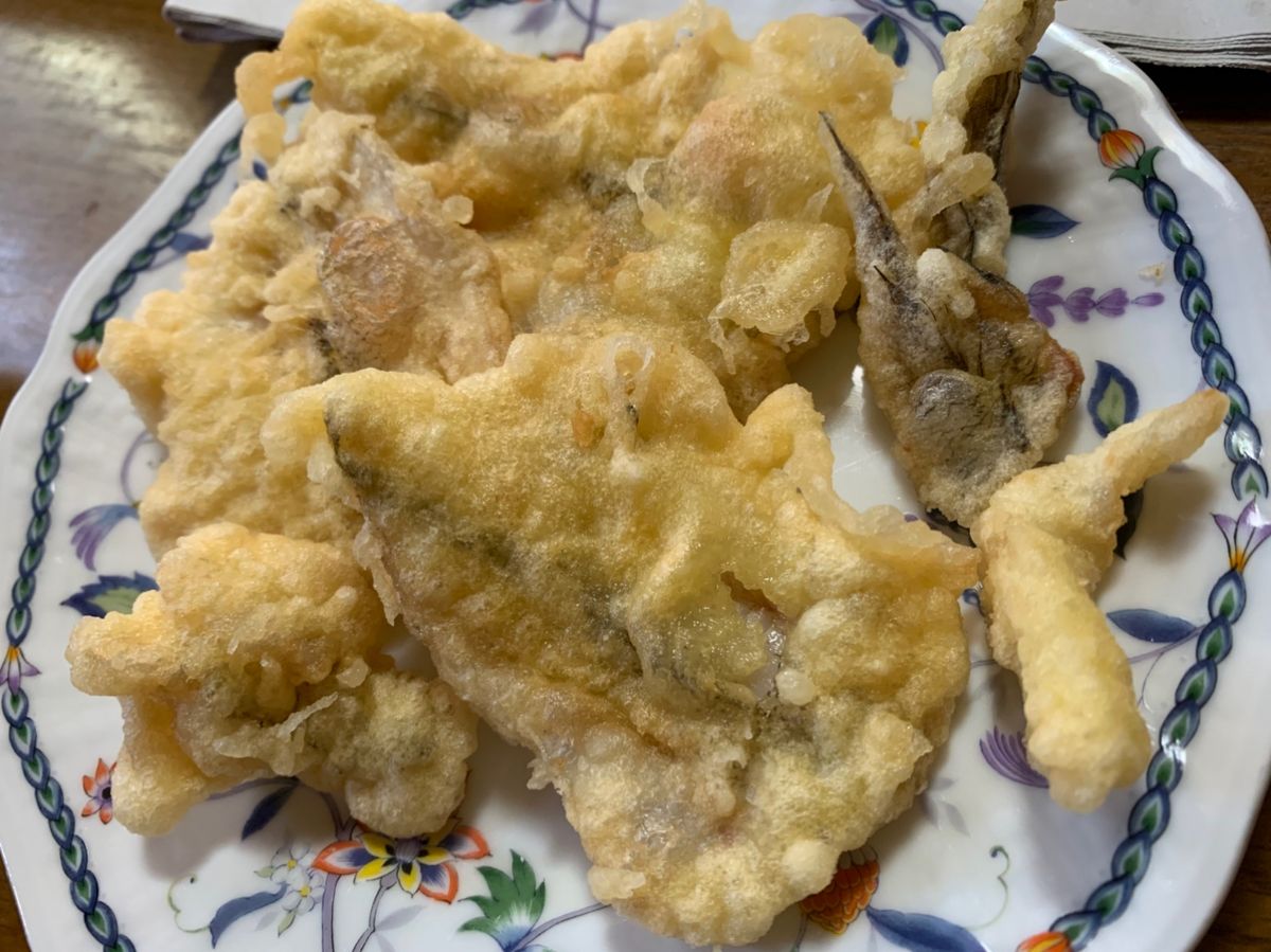 あおい と たつやさんの釣果 2枚目の画像