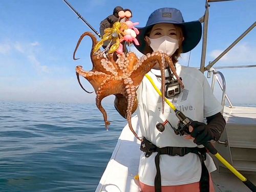 タコの釣果