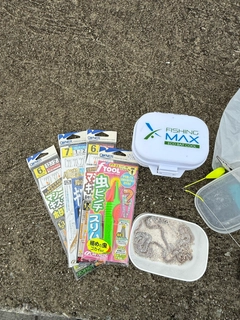 ガンゾウビラメの釣果