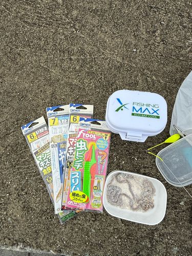 ガンゾウビラメ