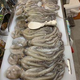 タコ