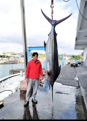 カジキ 角 1m超え カジキ 角 1m超え