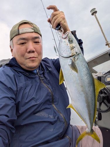 ヒラマサの釣果
