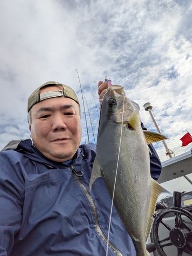 ヒレナガカンパチの釣果