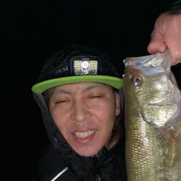 ブラックバス