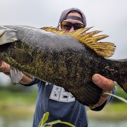 スモールマウスバス