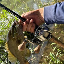 スモールマウスバス