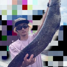 マナマズ