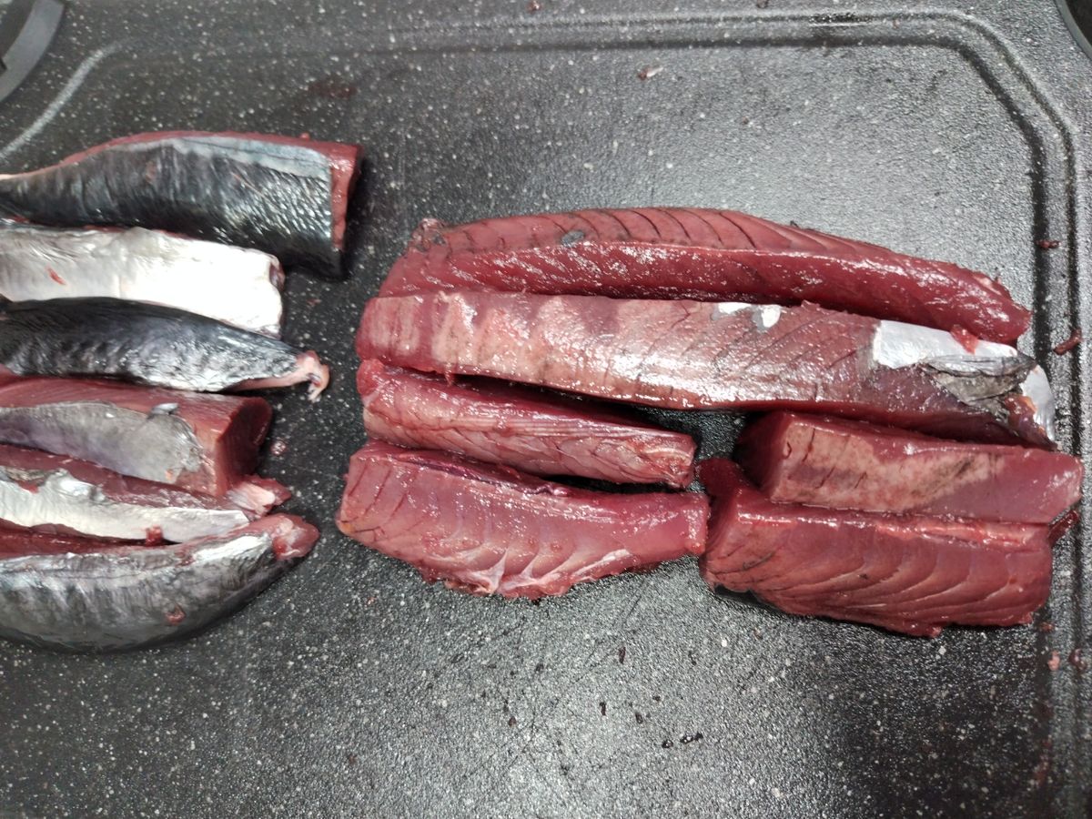 タニクーヤー。さんの釣果 2枚目の画像