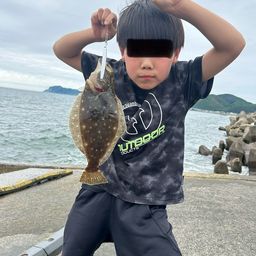 ヒラメ