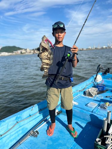 チャイロマルハタの釣果