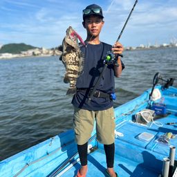 チャイロマルハタ