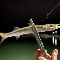 カマス