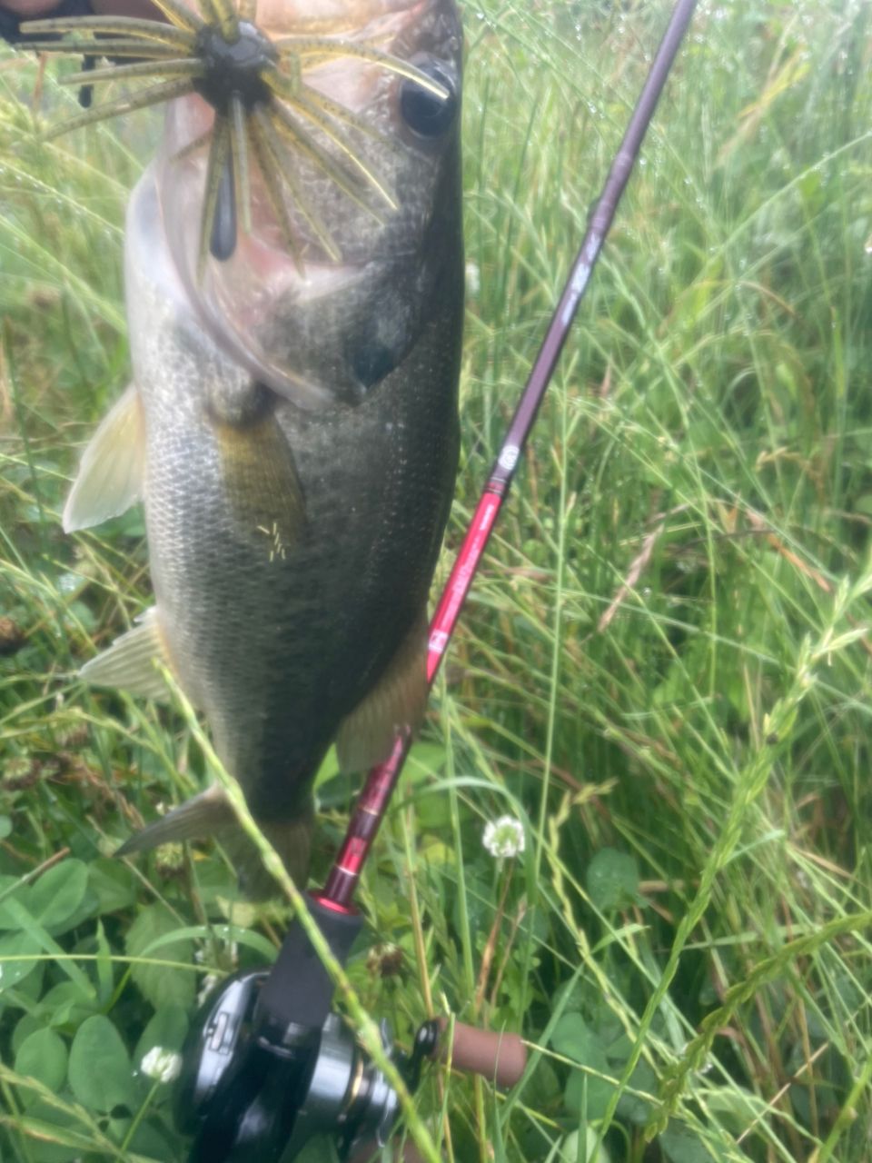 DAIWA 14ハートランド AGS 741MHRB-SV AGS17の最安値・インプレ