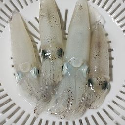 ヒイカ