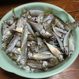アジ