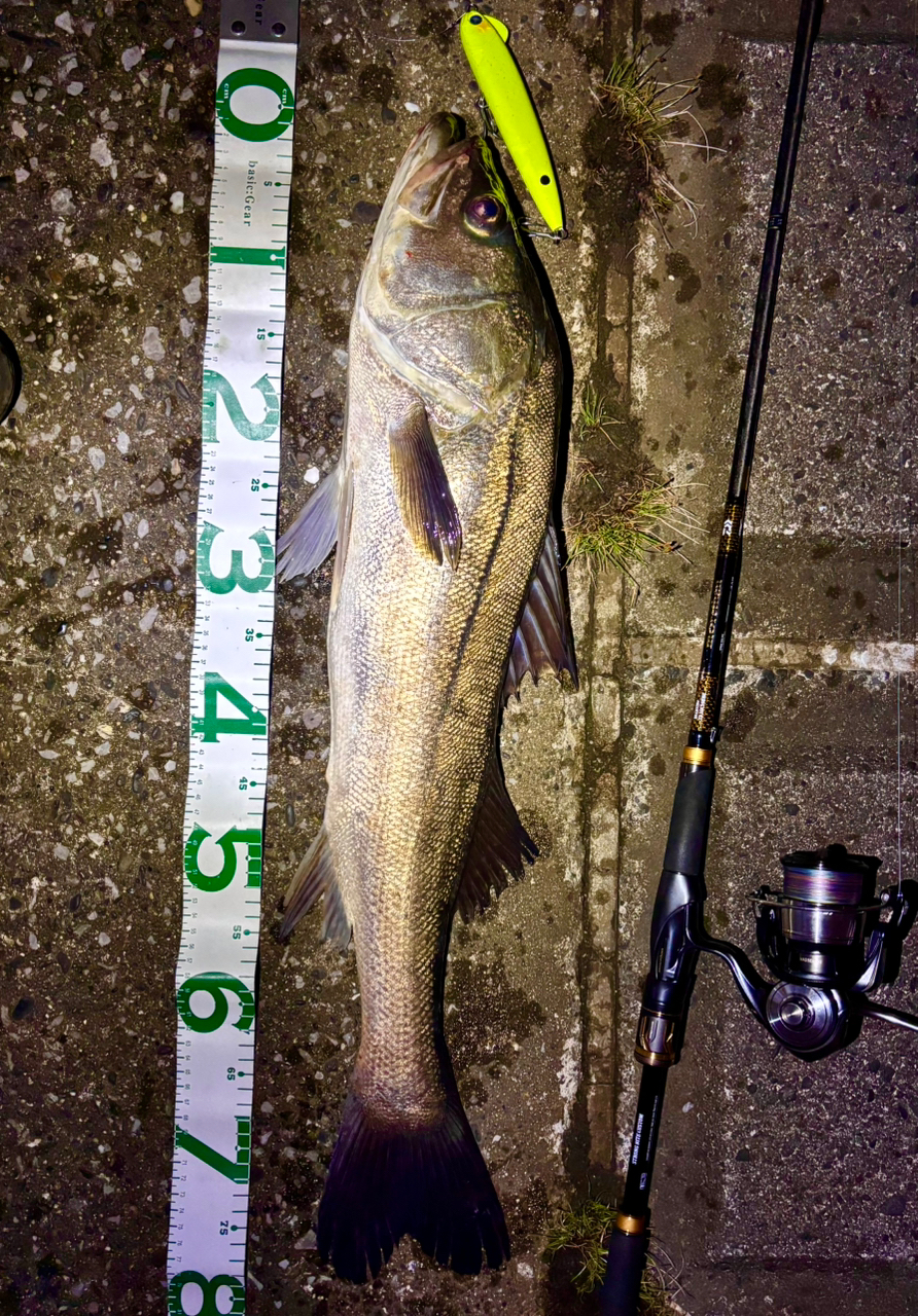 DAIWA 21モアザン ブランジーノ EX AGS 94MMHの最安値・インプレ