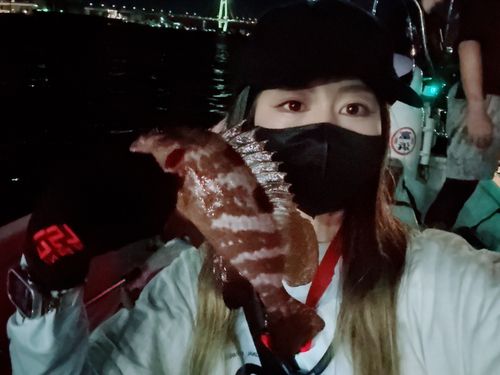 キジハタの釣果