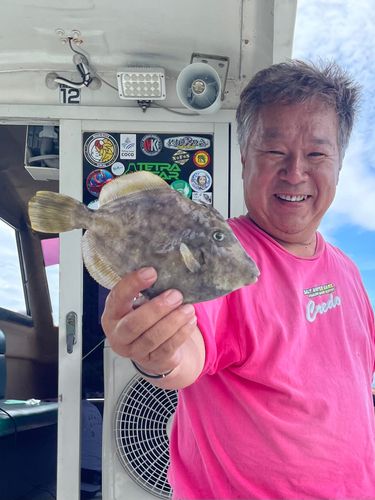 カワハギの釣果