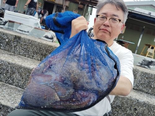 マダコの釣果