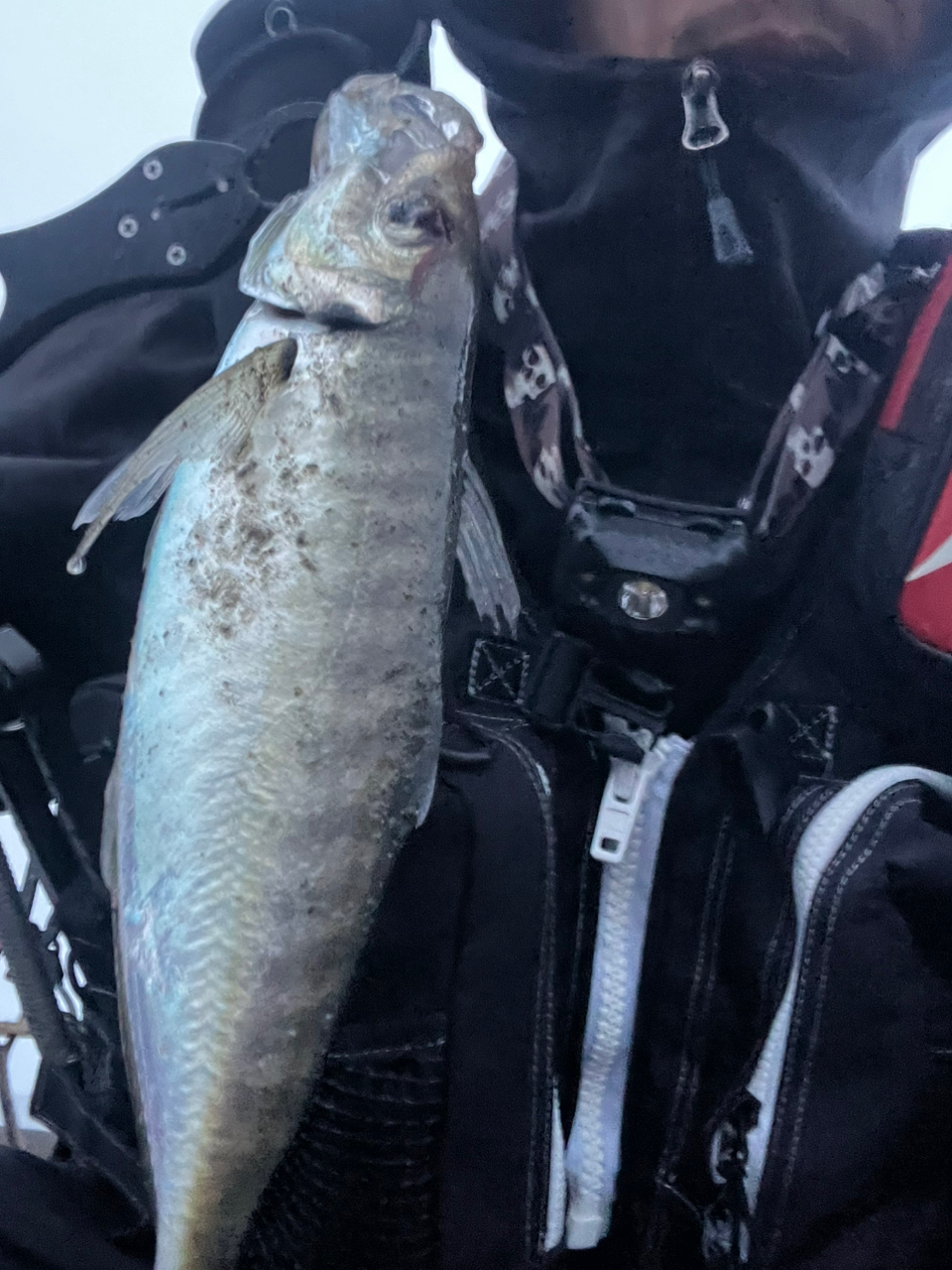 SHIMANO 19エンカウンター S100MHの最安値・インプレ・釣果