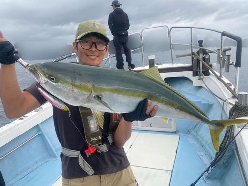 ブリの釣果