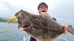 ヒラメの釣果