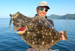 ヒラメの釣果