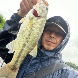 ラージマウスバス