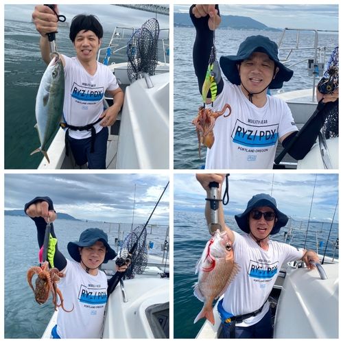 ハマチの釣果
