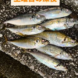 アジ
