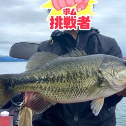 ブラックバス