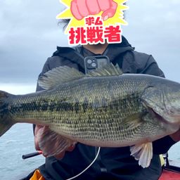 ブラックバス