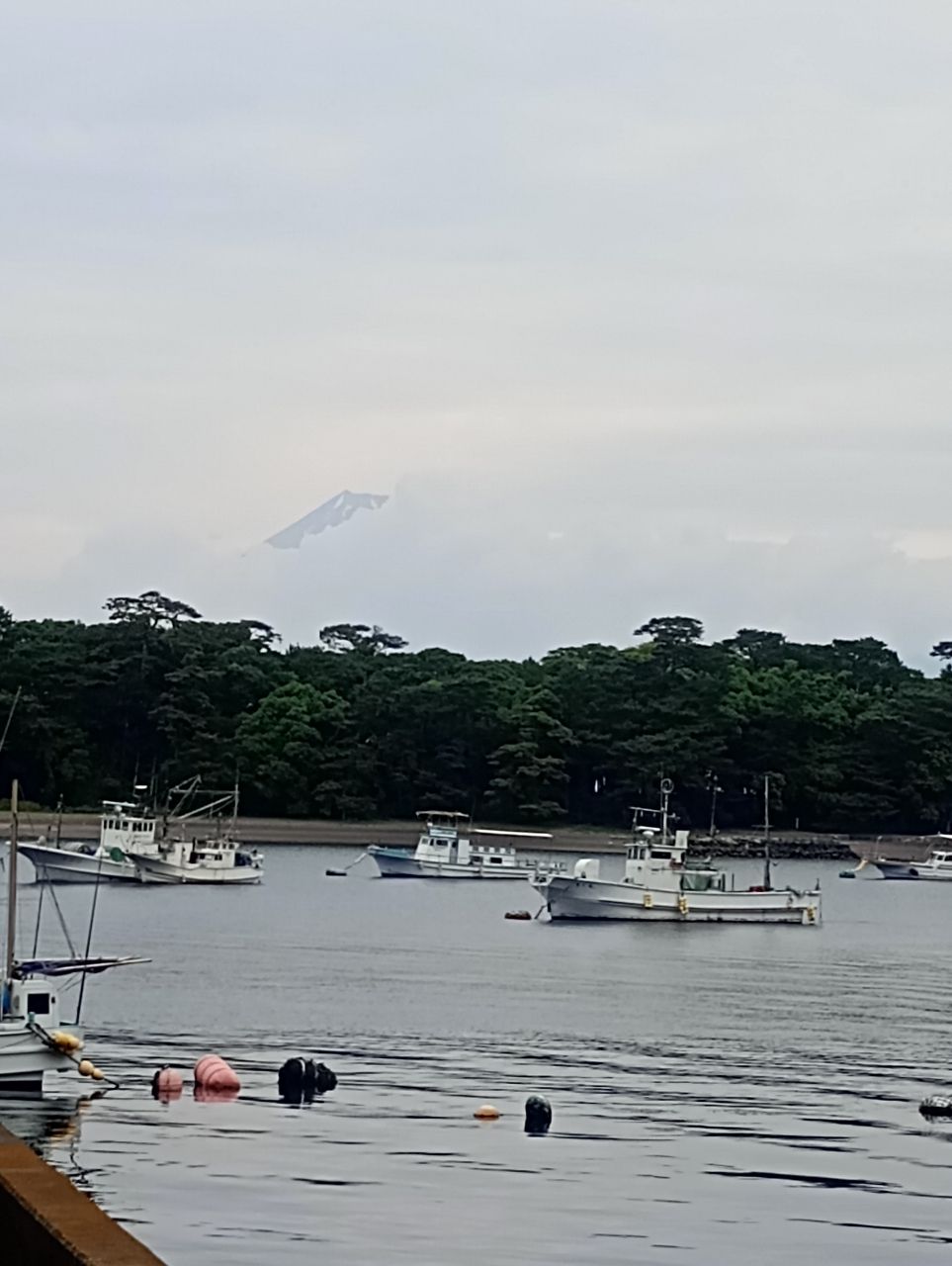美味しい釣りさんの釣果 2枚目の画像
