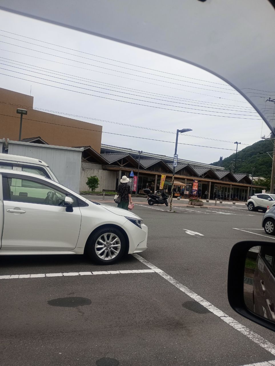 美味しい釣りさんの釣果 2枚目の画像