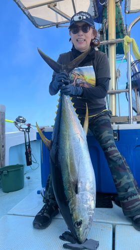 キハダマグロの釣果