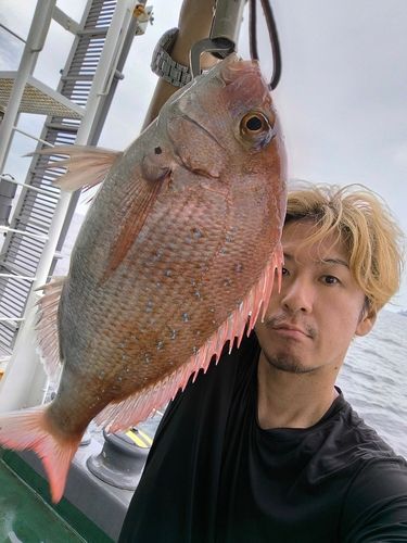 タイの釣果