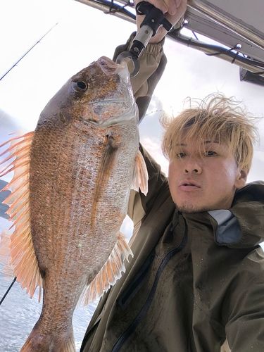 タイの釣果