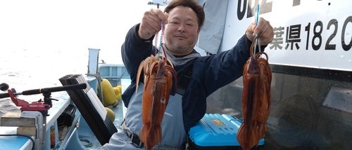スルメイカの釣果