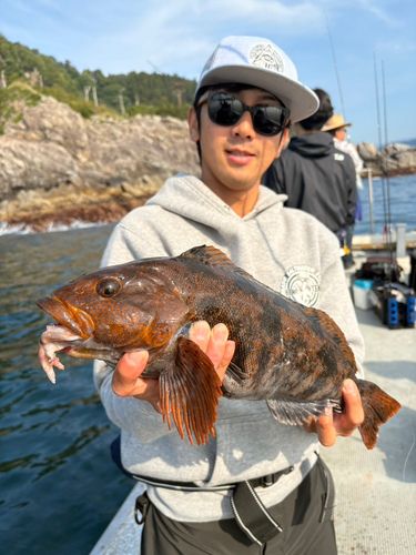 アイナメの釣果