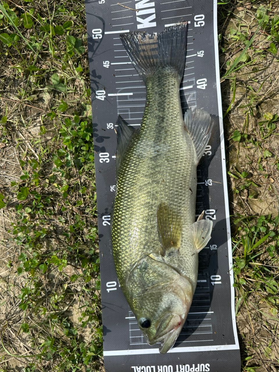 SHIMANO 23ワールドシャウラ リミテッド 1704R-2の最安値