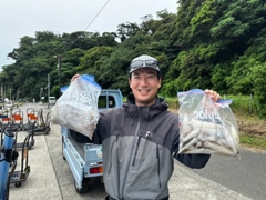 マルイカの釣果