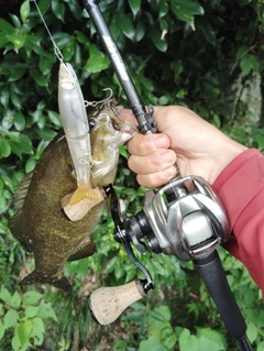 釣果