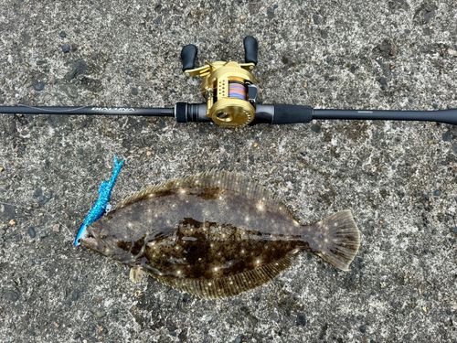釣果