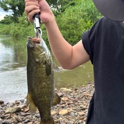 スモールマウスバス