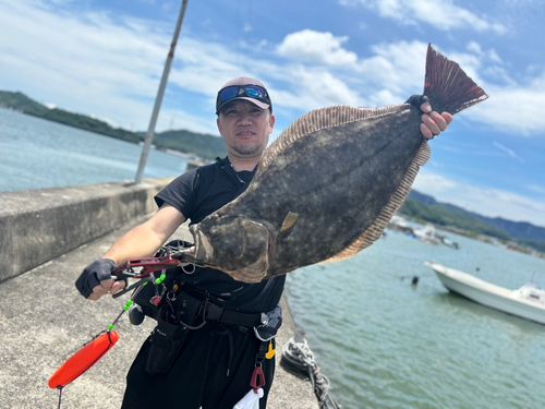 ヒラメの釣果