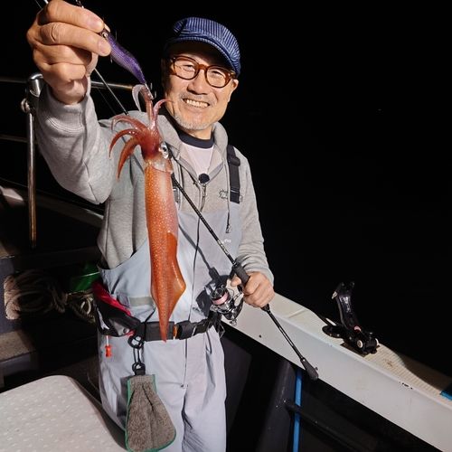 ヤリイカの釣果