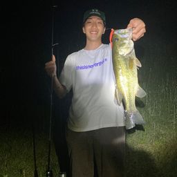 ラージマウスバス